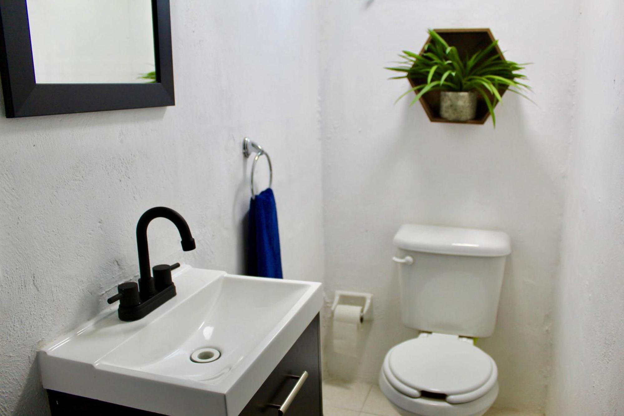 Pop Urban Studio Cancun Ngoại thất bức ảnh